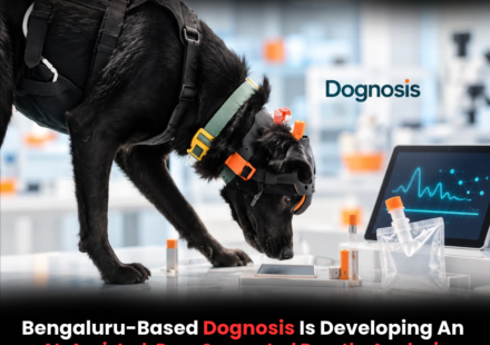 Dognosis